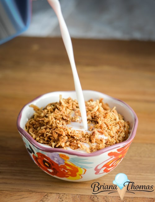 8 Keto Granola Recipes To Make You Feel Fantastic! Jeremy Life