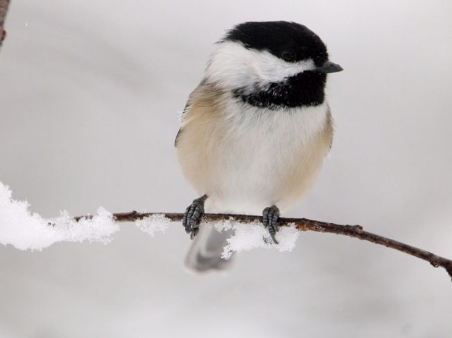 Choosing a Light Foam Cushion Stool for Knee-Sensitive Folks