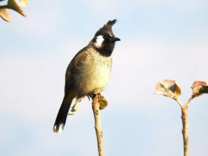 Choosing a Lightweight Monocular That Feels Steady in One Hand