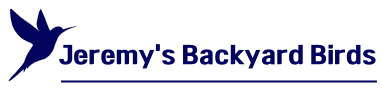 Jeremy’s Backyard Birds